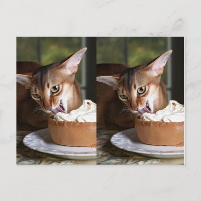 Carte Postale A Moment of Sweet Stillness – Art Postcard (Devant)