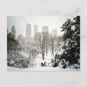 Carte Postale A Pedicab in Central Park During Winter