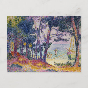 Carte Postale A Pine Grove, 1906