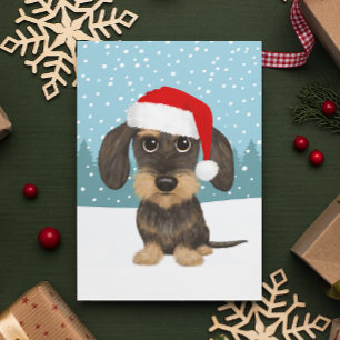 Carte Postale À poils durs Dachshund Holiday mignon chien animal