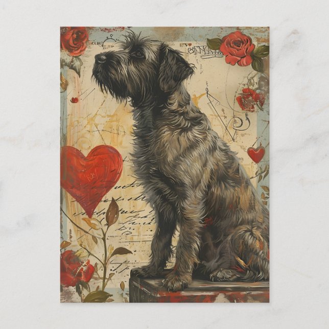 Carte Postale À poils durs pointant griffon Saint Valentin (Devant)