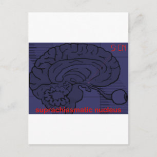 Carte Postale À quelle heure est-il ? Demander à mon SCN