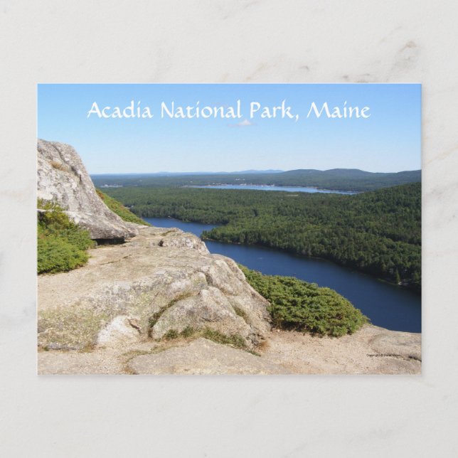 Carte Postale A Sight to See (Devant)