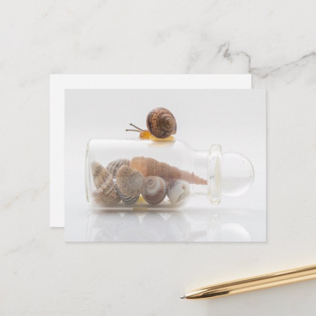 Carte Postale A snail and seashells (Devant/Arrière en situation)