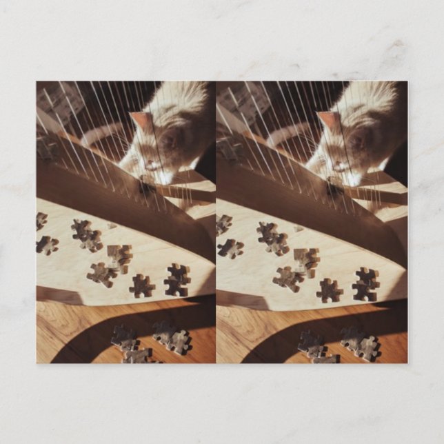 Carte Postale A Still Moment in Sunlight (Devant)