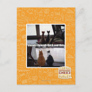 Carte Postale À travers épais et mince