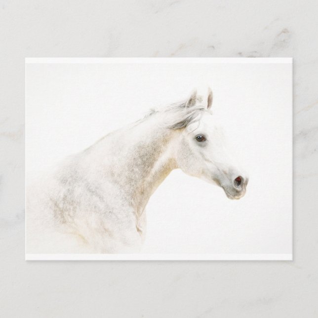 Carte Postale À travers la fosse (Devant)