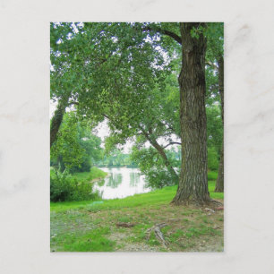 Carte Postale à travers les arbres