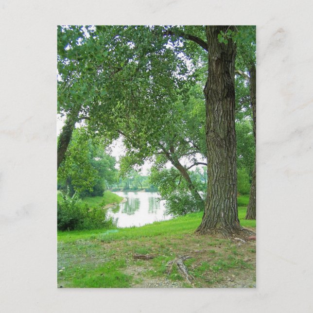 Carte Postale à travers les arbres (Devant)