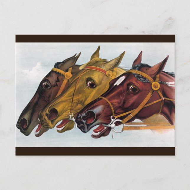 carte postale à trois chevaux (Devant)