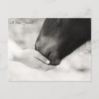 Carte Postale A True friend
