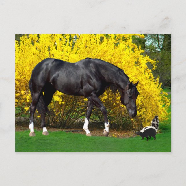 Carte Postale "A Very Bad Idea" (Devant)