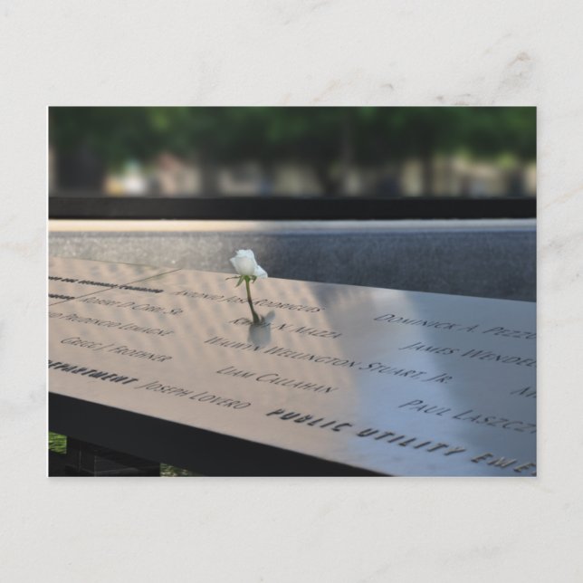 Carte Postale A white rose on Ground Zéro Memorial Postcard (Devant)