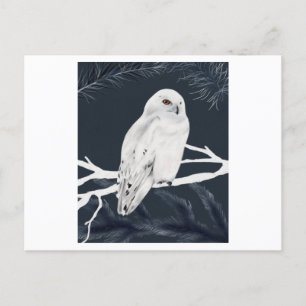 Carte Postale A white winter owl perches on a branch