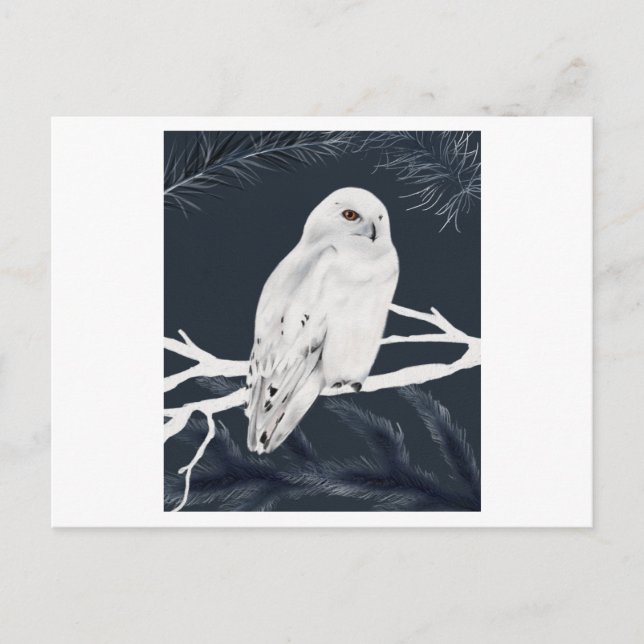 Carte Postale A white winter owl perches on a branch (Devant)