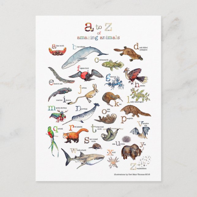 Carte Postale A-Z of amazing animals (Devant)