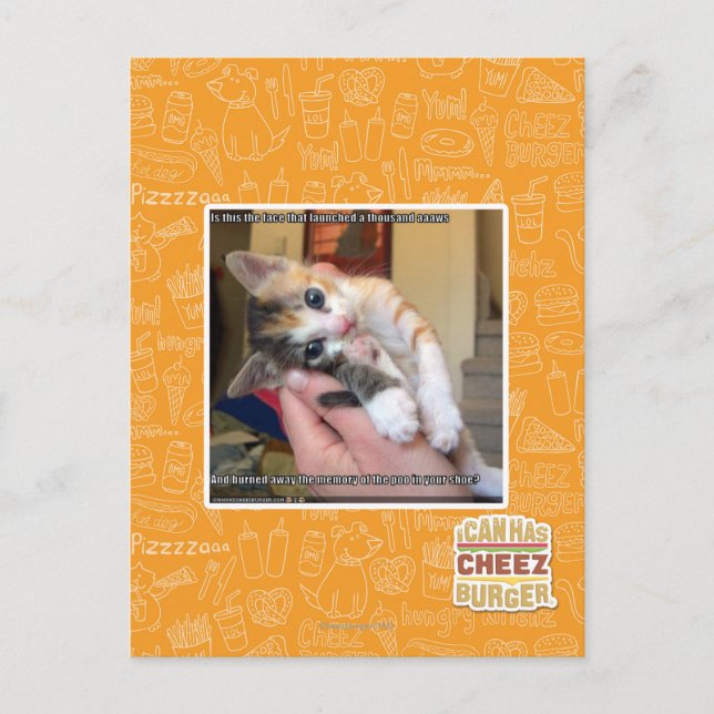 Carte Postale Aaws (Devant)