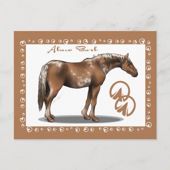 Carte Postale Abaco Barb (Devant)