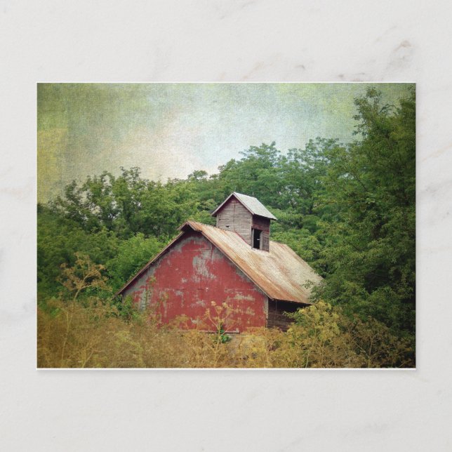 Carte Postale Abandonné et surcultivé (Devant)