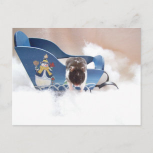 Carte Postale abandonnez la traîneau ! !