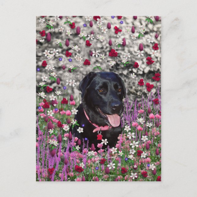 Carte Postale Abby en Fleurs - Chien de laboratoire noir (Devant)