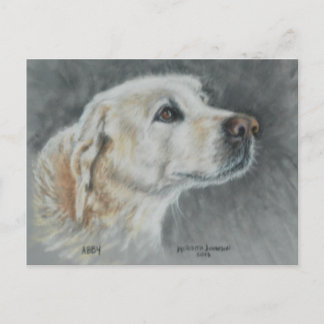 Carte Postale Abby, un vrai ami.