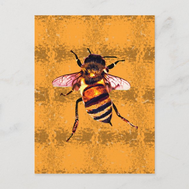 Carte Postale abeille (Devant)
