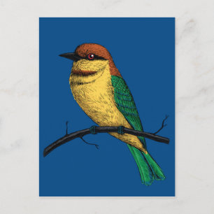 Carte Postale Abeille