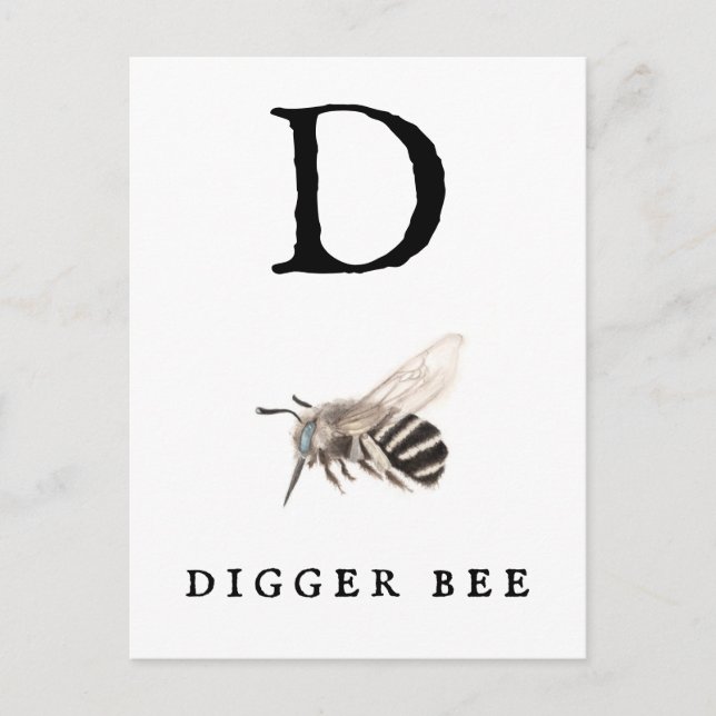Carte Postale Abeille à Digger "D" (Devant)