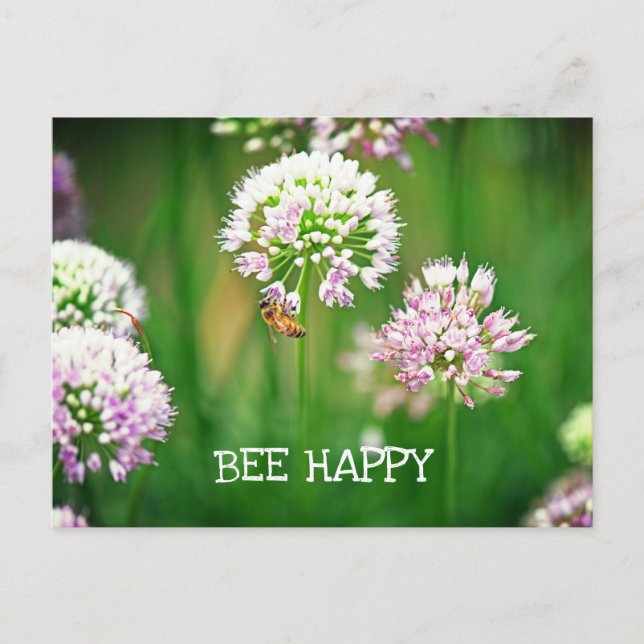 Carte Postale Abeille avec violet Allium Garden Flower Motivatio (Devant)