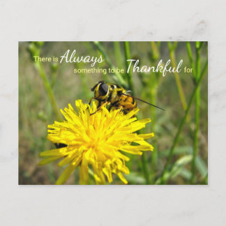 Carte Postale Abeille Bourdon Jaune Pissenlit Toujours Reconnais
