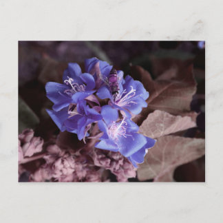 Carte Postale abeille en fleurs bleues coloré violet