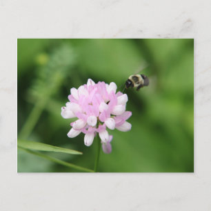 Carte Postale Abeille en vol