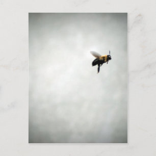 Carte Postale abeille en vol