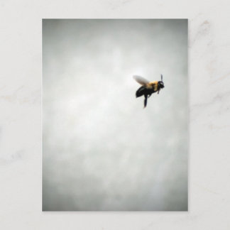 Carte Postale abeille en vol