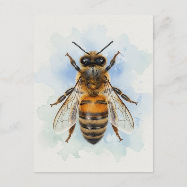 Carte Postale Abeille – Gardien à l'aquarelle (Devant)