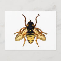 Abeille jaune vintage