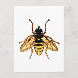 Carte Postale Abeille jaune vintage