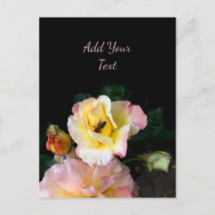 Carte Postale Abeille sur roses rose jaune Fleurs