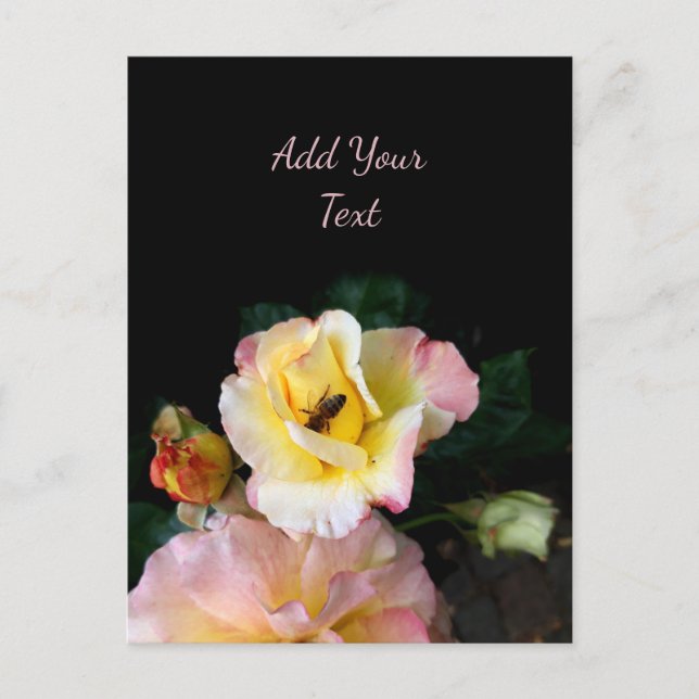 Carte Postale Abeille sur roses rose jaune Fleurs (Devant)