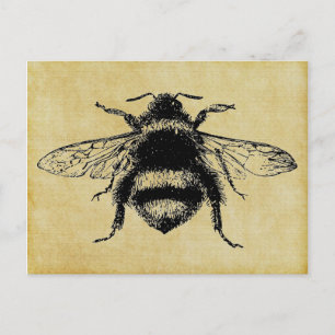 Carte Postale Abeille vintage