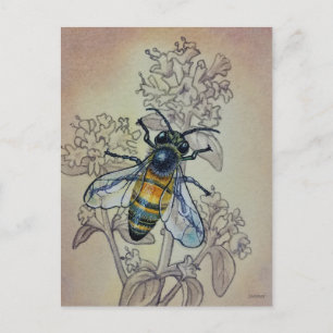 Carte Postale Abeille vintage no 7 et aquarelle Fleur sauvage