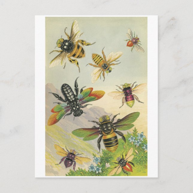 Carte Postale Abeilles (Devant)