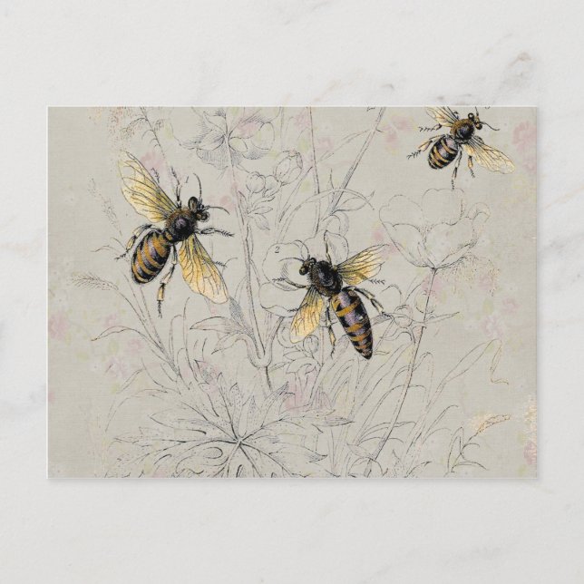 Carte Postale Abeilles (Devant)