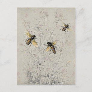 Carte Postale Abeilles