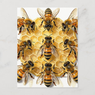 Carte Postale Abeilles à Miel sur un Cercle d'Alvéoles Hexagonal