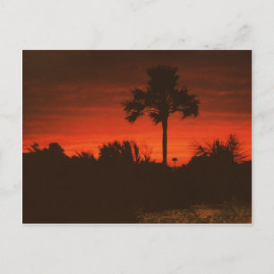 Carte Postale Abendstimmung, Sénégal