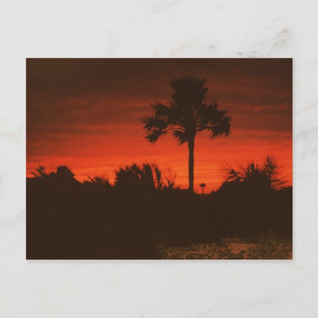 Carte Postale Abendstimmung, Sénégal (Devant)