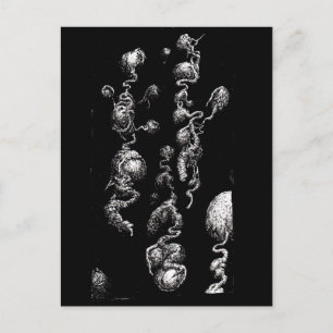 Carte Postale Aberrations organiques flottantes