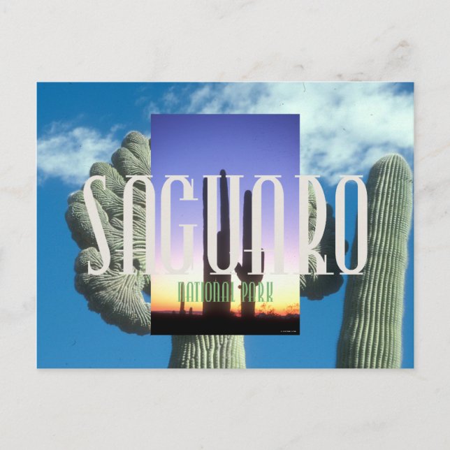 Carte Postale ABH Saguaro (Devant)